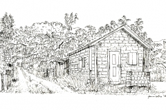"Bridal Alley", Cumberland, BC, pen and ink