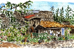 "Hornby Island Community Hall", Hornby Island, pen and watercolour
