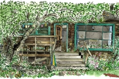 "Moo Green", Hornby Island, pen and watercolour